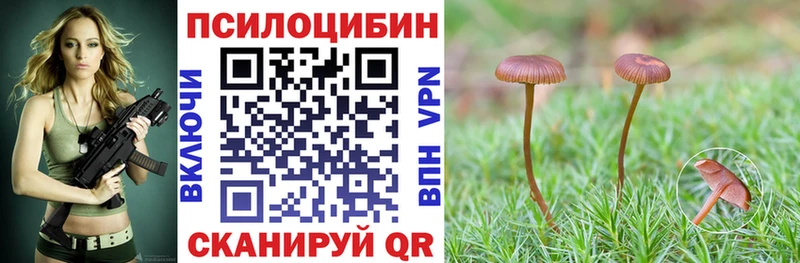 Псилоцибиновые грибы прущие грибы  купить   KRAKEN   Полярный 